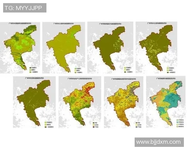 全球挑战赛中TES技术表现分析与点评优势与不足的全面剖析实时新闻